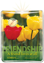 Friendship - A friend loves at all times...