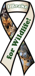 I Brake for Wildlife!