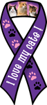 I love my Cats!