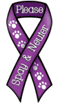 Spay Neuter